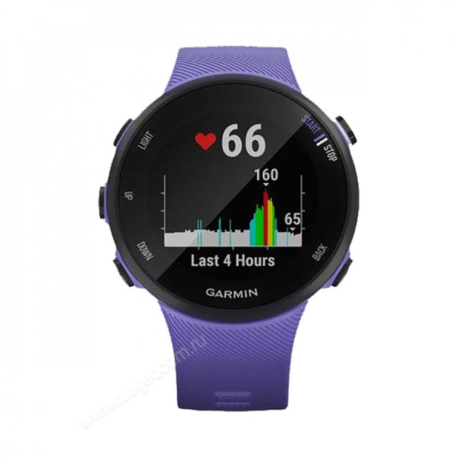 Часы Garmin Forerunner 45S ирис
